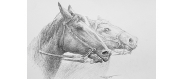 Drawing of horses