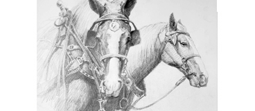 Drawing of horses